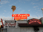 El Coyote